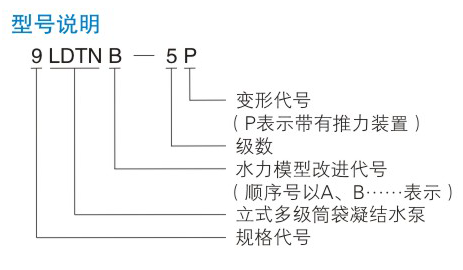 LDTN型凝91免费网站下载