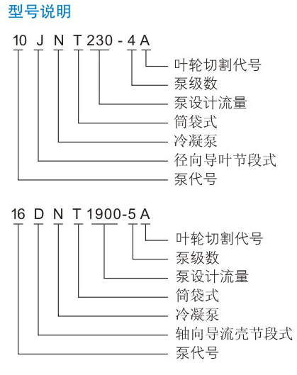 DNT型凝91免费网站下载